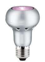 Paulmann LED Special R63 6W E27 230V Rosé