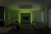 Paulmann Function MaxLED RGB Basisset 1,5m 20W 230/24V 36VA Silber Kunststoff