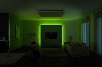 Paulmann Function MaxLED RGB Basisset 1,5m 20W 230/24V 36VA Silber Kunststoff