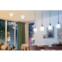 Paulmann 50396 LED Leuchtmittel Globe Filament Zigbee 2700-6500K E27 7W dimmbar