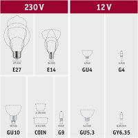 29138 Paulmann Filament 230V LED Röhre E27 1055lm 9W 4000K dimmbar Klar Leuchtmittel