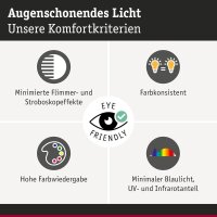 29138 Paulmann Filament 230V LED Röhre E27 1055lm 9W 4000K dimmbar Klar Leuchtmittel