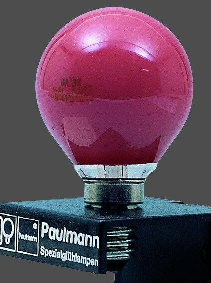 Paulmann Glühlampenhalter Schwarz E14